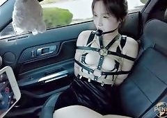 Lesbian Strap Bondage Humiliation